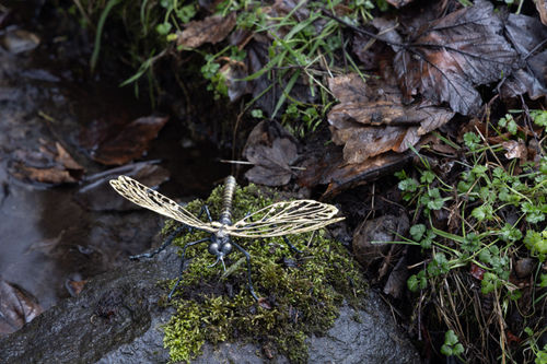 Helen Denerley Dragonfly, 2026 brass and steel 12cm (h) x 19cm x 22cm