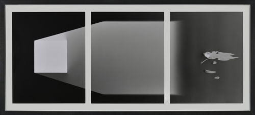 Kate Beaugié Shadow of gold cube and blossom triptych, 2018 photogram unique Mounted on aluminium, framed with UV glass each photogram 50.8 x 40.6 cm 20 x 16 in overall framed dimensions: 60 x 130 cm 23 5/8 x 51 3/16 in Signed, titled and dated on reverse