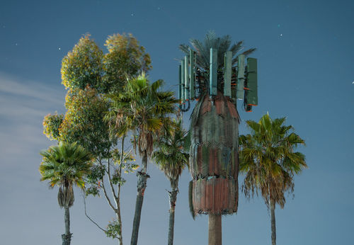 Kaya & Blank, Second Nature #64, 2022