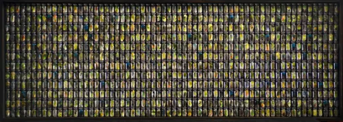 奧斯卡．維拉米 《夜之森林》 Forest at Night, 2016 羽毛、玻璃瓶 Feather and glass vials 50.8 x 138.4 x 5.8 cm