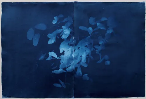 Loren Williams, Shadows of Honeysuckle, 2022