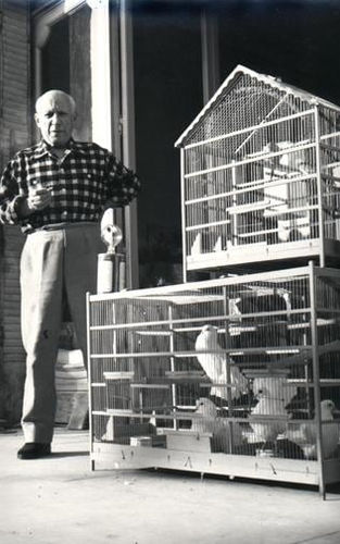Lucien Clergue, Picasso #6 (La Colombe), January 9, 1949