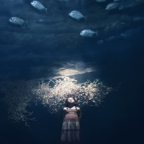 Cig Harvey, Scout & The Jacks, 2016