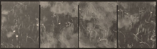 Koichiro Kurita, Cloud in Small Lake II, Montville, ME from series Perceiving, 2012