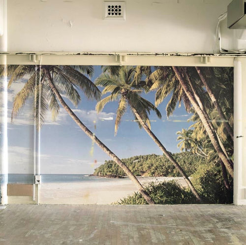 Sam Hartnett Palms, 2006 Chromira print (Edition of 5) 40.0 x 40.0 cm