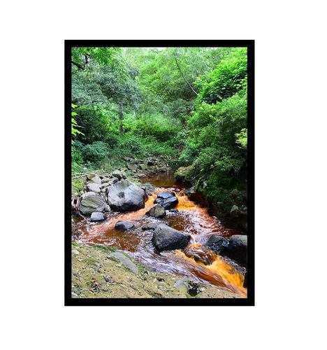 Piers Secunda, Tropical Gulley, 2023