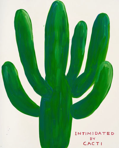 David Shrigley, Intimidated By Cacti