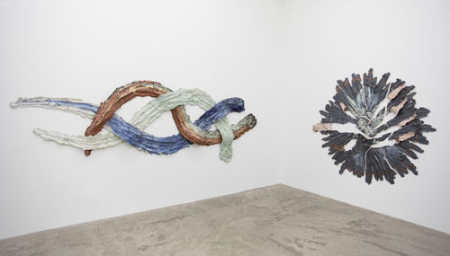 Brie Ruais: Plant Dreaming Deep, Cooper Cole, Toronto, Canada. November 12, 2022 - January 14, 2023.