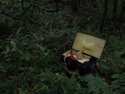 PARK Youngsook, 그림자의 눈물 10 | Tears of a Shadow 10, 2019, C-print