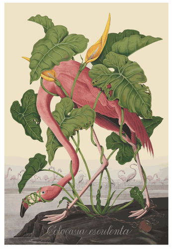 Vanessa Prager in 'The Flower Show' at L.A. Louver