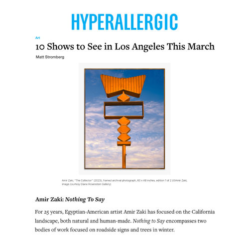 Amir Zaki in '10 Shows To See in Los Angeles This March'