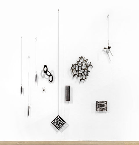 Carolina Sardi, Microcosms