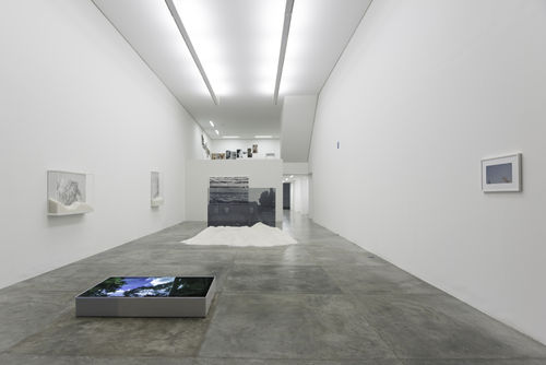 Márcia Xavier: Querida, Casa Triângulo, São Paulo, Brazil