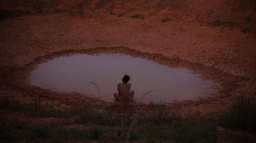 DANIEL LIE: ENCANTADAS . TRANSCENDENTAL BRAZILIAN ART