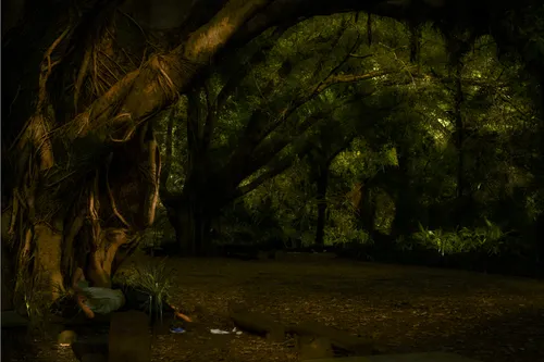 ALBANO AFONSO . OCIO DA TERRA: CYCLES OF FERTILIFY AND PAUSE