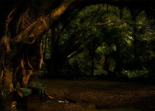 ALBANO AFONSO . OCIO DA TERRA: CYCLES OF FERTILIFY AND PAUSE