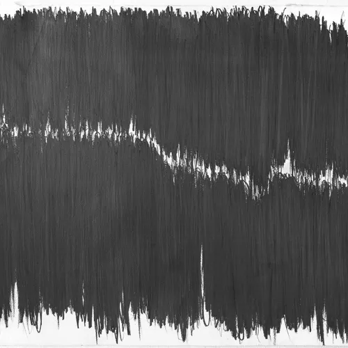 TONY CAMARGO . COMUNIDADE DE RESSONÂNCIA