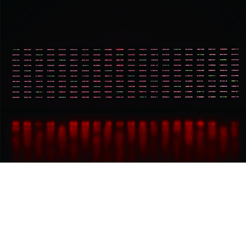 Tatsuo Miyajima