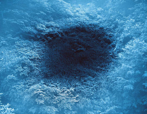 Yojiro Imasaka "Illuminating Earth 144 CO37 June 2, 2020