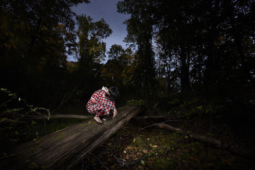 Mayumi Lake Hunch #4984 2016