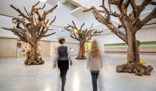 Ai Weiwei Museum Exhibition