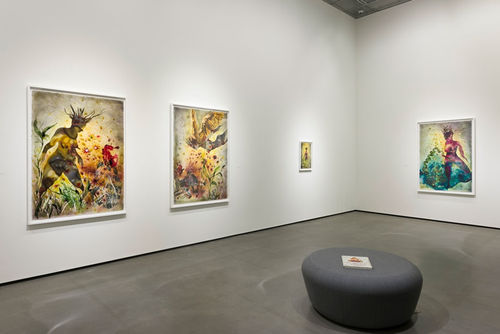 Installation view of Shiva Ahmadi: Strands of Resilience, courtesy the Jan Shrem and Maria Manetti Shrem Museum of Art. Photo © Muzi Rowe