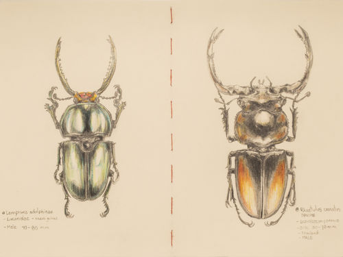 About Paper, A Gallery Group Show