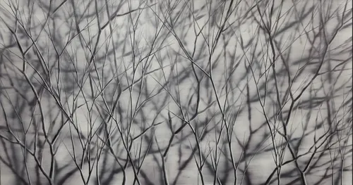 Mosh Kashi, Violette Forest, 2013 - winter trees oil on canvas