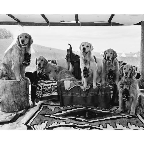 Bruce Weber / Turn to the Light