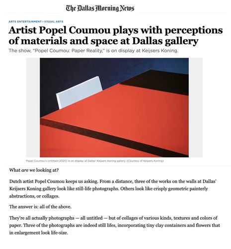 Dallas Morning News article view