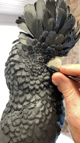 Paper Sculpture Demonstration, by Jamie Lord