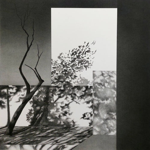 #1310823 by Jemma Appleby