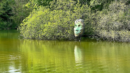 Leaf Spirit by Simon Gudgeon