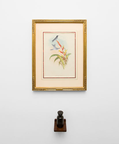 Brandon Ballengée, Call of the Void