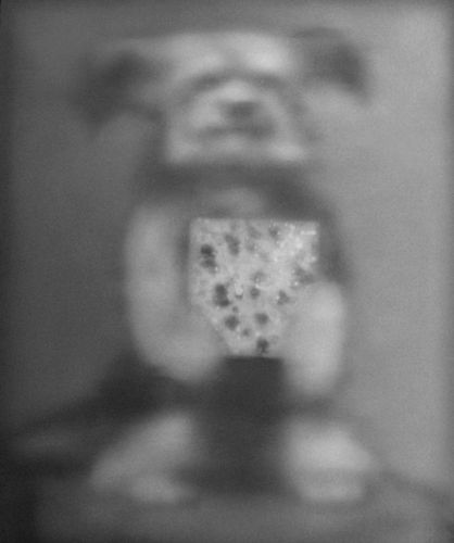 Sherry Kerlin: A Small Dog’s Secret Life as an Abstract Expressionist, New York, NY