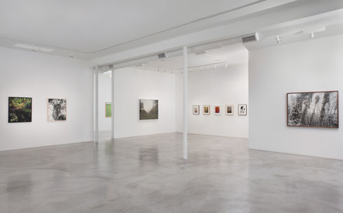 Matthew Porter, Pale Subtropical Light