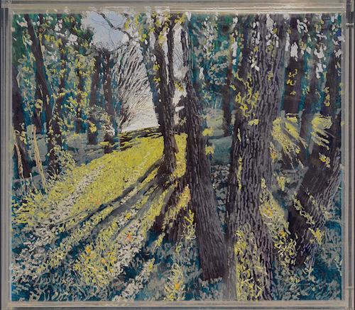 Forest Bathing, A Group Exhibition About Nature