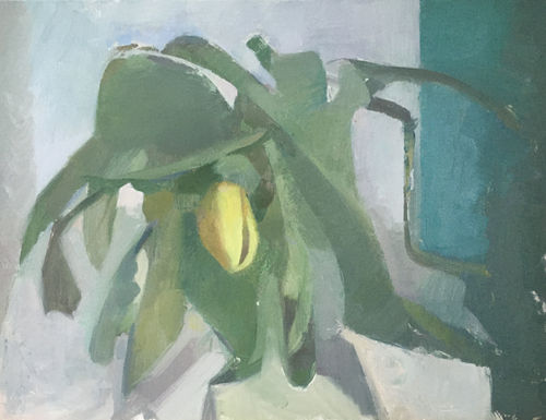 Colour and Shape in Nature: 1-day workshop with Clare Haward, Online