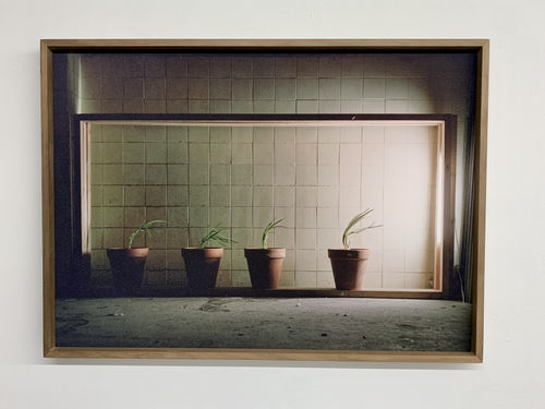 Registres de comportament (1994-1998) , Antonio Ortega