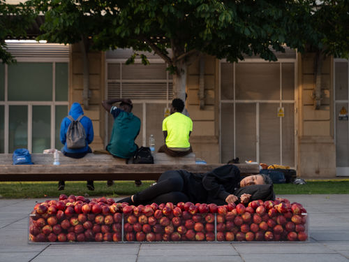 Glass Ceiling, Regina José Galindo