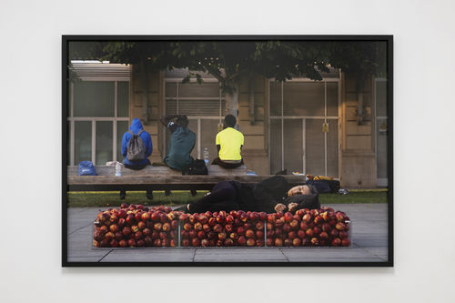 Regina José Galindo, Fruta amarga, 2024