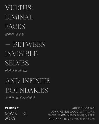 VULTUS: Liminal Faces 전이적 얼굴들 — Between Invisible Selves 비가시적 자아와 and Infinite Boundaries 무한한 경계 사이에서, 『Artists 참여작가: Jonni...