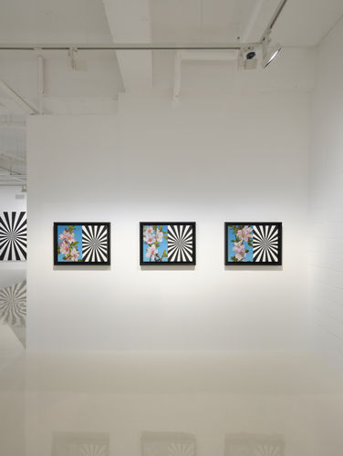 Blossoms in Spiritual Time