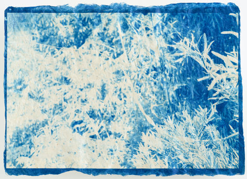 A Silver Lining (5/10), 2020 手漉き和紙雁皮紙にサイアノタイプ・プリント H31 × W42 cm H12.2 × W16.5 in. 堀江 美佳