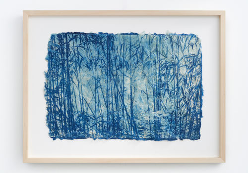 堀江美佳：青の始まり