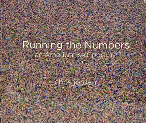 Running the Numbers, An American Self Portrait