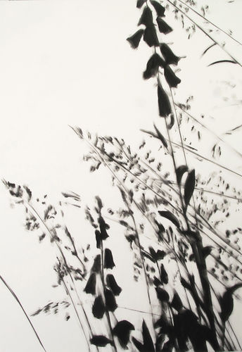 Amsterdam Drawing 2016, Stand 04