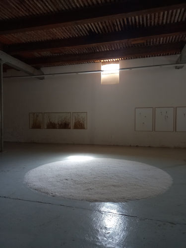 herman de vries. 90 | L.A.C. Sigean