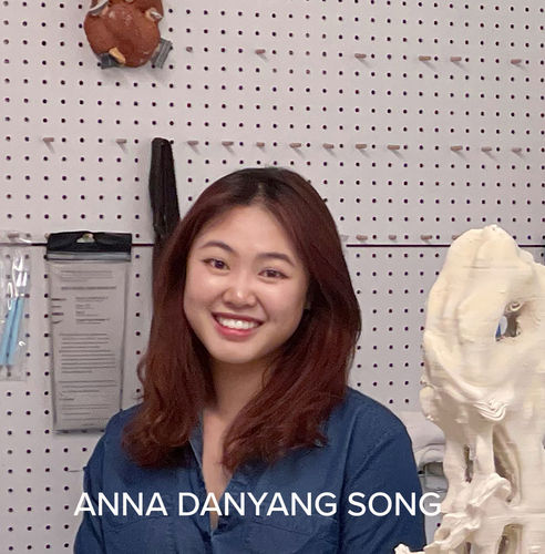 Anna Danyang Song