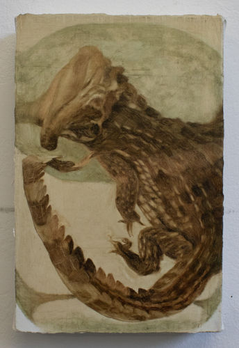 Fiza Khatri, Gharial, 2022